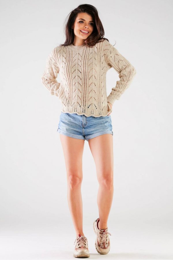 Pullover model 166858 awama